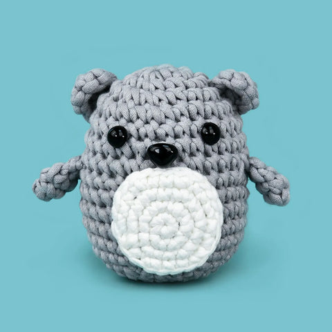 Beginner Crochet DIY Kit